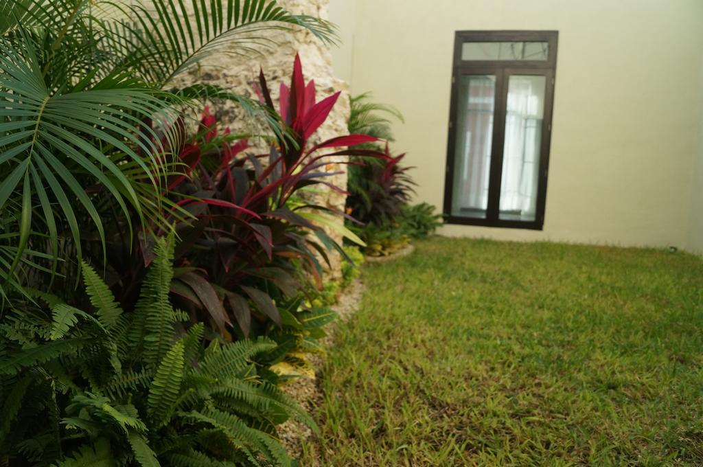 Hotel Casa Palomino Merida Exterior photo