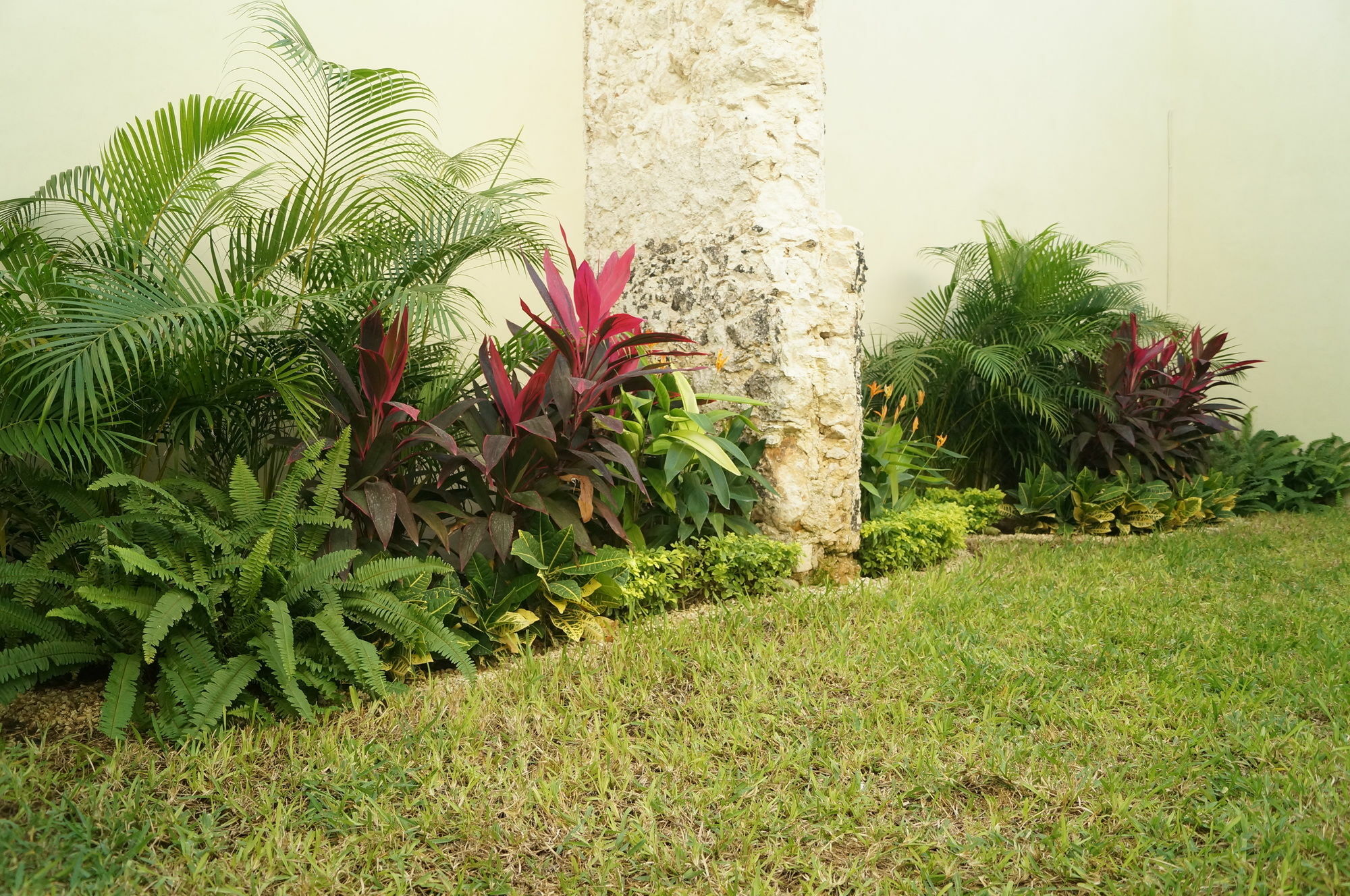 Hotel Casa Palomino Merida Exterior photo